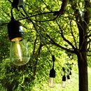 Hometown Evolution, Inc. 100 Foot E26 LED Outdoor Commercial String Lights with 50 Suspended Sockets and S14 LED Filament 1 Watt Bulbs by CozyNest Decor