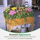 VegTrug 8 Pocket Garden, Wooden Planter with Herb Snips, Natural by GreenHaven Gardens