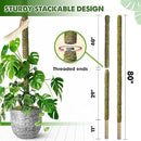 DUSPRO 80 Inches Large Moss Pole for Plants Monstera, Plant Stakes for Indoor Plants, Monstera Plant Support, Plant Support/Plant Pole for Big Climbing Plants Indoor (1pc., 80'') by GreenHaven Gardens