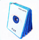 SANTSUN 36 Pieces of My Body Parts Flash Cards for Toddlers- The Flash HolePunched- So You can sort and Organize The Cards Easily and Early Learning Kindergarten Teacher Tools by TinyTreasures Baby Boutique
