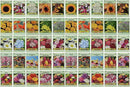 Set of 50 Flower Seed Packets! Flower Seeds in Bulk, 15 or More Varieties Available! by GreenHaven Gardens