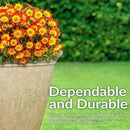 Sunnydaze 24-Inch Anjelica Large Plastic Pot for Plants - Outdoor Polyresin Round Planter with Drillable Drainage Holes - Beige - 2pk by CozyNest Decor