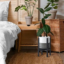 D'vine Dev Ceramic Planter with Ebony Stand - 8 Inch Modern Round Flower Pot with Wood Planter Holder, White/Grey, 55-B-M-6 by CozyNest Decor