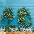 Gardzen Multi-use Tomato Cage Plants Support, Trellis Climbing Cage Stand for Pepper Eggplant Tomato Flowers by GreenHaven Gardens