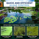 Aquascape Algaecide for Ponds, Waterfalls, and Fountains – Large-Scale Algae Control, 2.5 Gallons / 9.46 L, 96053 by GreenHaven Gardens