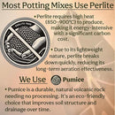 Craft Aroid Potting Mix- Elite Alocasia, Philodendron, Monstera Soil Mix, Chunky, Well Draining Potting Soil for Indoor Plants, All Tropical Plants & Houseplants, Peat Free 12QT by GreenHaven Gardens