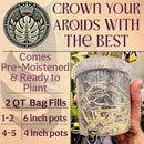 Craft Aroid Potting Mix- Elite Alocasia, Philodendron, Monstera Soil Mix, Chunky, Well Draining Potting Soil for Indoor Plants, All Tropical Plants & Houseplants, Synthetic & Peat Free 2QT by GreenHaven Gardens
