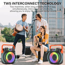Karaoke Machine with 2 Wireless Microphones, Karaoke Machine for Adults & Kids, Portable Bluetooth Karaoke Speaker with Bass/Treble Adjustment, PA System, LED Lights, Supports TWS/USB/TF/REC/FM/AUX by TinyTreasures Baby Boutique