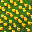 120PCS Mini Resin Animals Cute Yellow Tiny Ducks,Miniature Duck Figures to Hide,Little Animal Toys Small Figurines Bulk for Topper Desk Garden Dollhouse Landscape Aquarium Ornaments DIY Crafts & Decor by GreenHaven Gardens