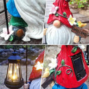 Solar Garden Gnomes Statue with Succulent and 4 LED Lights - Solar Lantern Gnomes Decorations for Yard Outdoor gnome Decorations for Garden, Patio Gnome Gifts for Mom by CozyNest Decor