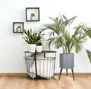 D'vine Dev 14 Inch Planter Pot with Stand, Mid-Century Tall Plant Pot with Legs for Indoor Plants, X-Large, Grey, 88-O-D-3 by GreenHaven Gardens