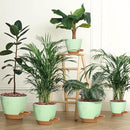 Uneed Indoor Self Watering Planters with Drainage Holes and Saucers, 7/6.5/6/5.5/5 Inch-5 Pots,for Indoor Plants, Herbs, Succulents-Green by CozyNest Decor