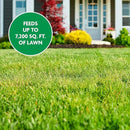 Miracle-Gro Water Soluble Lawn Food and Garden Feeder Bundle, Hose-End Feeding System for Lawns by GreenHaven Gardens