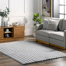 nuLOOM 3'9' x 6' Cozy Plush Area Rug, Machine Washable, Non-Slip, Soft Fluffy Shag Carpet for Living Room Bedroom Kids Room Nursery Home Decor, Jeni Silver by CozyNest Decor