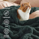 Bedsure GentleSoft Blankets Queen Size for Bed - Super Soft Cozy Blanket for Women Men Girls, Large Fuzzy Fleece Throw for Bedroom Decor, Dark Green, 90x90 Inches by CozyNest Decor