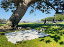 4’9” x 6’3” White Lightweight Water-Resistant Canvas Mat – Picnic, Outdoor, Beach, Park, Camping, Toy Mat by TinyTreasures Baby Boutique