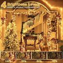 Ollny Christmas Lights Outdoor Waterproof, 1000LED 328FT Super Long String Lights with Remote 3 Timer, Plug in 8 Modes Fairy Light for Outside House Bedroom Xmas Decorations, Warm White by GreenHaven Gardens
