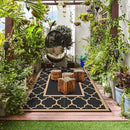 GENIMO Outdoor Rug 8' x 10' Patio Waterproof, Foldable Reversible Plastic Straw Area Rugs Mat for Camper Decor, Outside Carpet for Rv, Deck, Porch, Picnic, Beach, Balcony, Black & Brown by GreenHaven Gardens