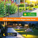 LETMY Solar Pathway Lights Outdoor, 6 Pack 2X Brighter Solar Lights Outdoor Waterproof, Taller Pathway Light with Larger Panel, Auto On/Off Up to 12Hrs Driveway Light for Yard Outside Patio Path Lawn by CozyNest Decor