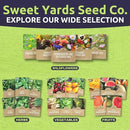 Organic Seeds Essential Variety Pack - 10 Individual Packs - 2025 Season - Summer Squash, Cherry Tomatoes, Arugula, Broccoli and More! for Indoor & Outdoor Planting (Non-GMO, Certified Organic) by GreenHaven Gardens