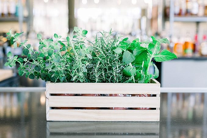 Wood Planter Box with Wine Crate Styled, 12x4 Inch Rectangular, Rose Wood, Plastic Liner, Garden Centerpiece Display, Wedding Flowers Holder, Home and Venue Decor (12x4 Wine Crate Set of 4, Rose Wood), photo 9 of 10