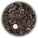 Professional Succulent Soil Premium All Purpose Blend | Pre-Mixed Ready to Use for Cactus and Succulents | Sphagnum Peat Moss, Perlite, New Zealand Pine Bark - Made in USA - 2 Quart by GreenHaven Gardens