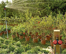 Eden 25124 2-Zone Mechanical Watering Timer, Red, Grey by GreenHaven Gardens