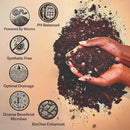Craft Aroid Potting Mix- Elite Alocasia, Philodendron, Monstera Soil Mix, Chunky, Well Draining Potting Soil for Indoor Plants, All Tropical Plants & Houseplants, Peat Free 12QT by GreenHaven Gardens