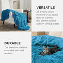 Bedsure GentleSoft Fluffy Bright Blue Blankets Queen Size for Bed, Thick Sherpa Faux Fur Fleece Fuzzy Plush Winter Warm Soft Queen Blankets, Bedroom Decor Blue Cozy Gifts for Women Men, 90x90 by CozyNest Decor