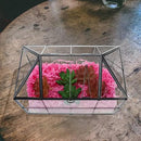HighFree Geometric Terrarium Planter with Swing Lid, House Shape Black Handmade Glass Box, Vintage Tabletop Miniature Terrarium, for Succulent, Cacti, Air Plants (Not Watertight - 9.2x5.5x7.3 inch) by GreenHaven Gardens