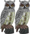 Galashield Owl Decoy | Plastic Owls to Scare Birds Away | Owl Statue for Garden & Outdoors 16.5" Tall [Pack of 2] by GreenHaven Gardens