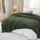 Bedsure GentleSoft Blankets Queen Size for Bed - Super Soft Cozy Blanket for Women Men Girls, Large Fuzzy Fleece Throw for Bedroom Decor, Bronze Green, 90x90 Inches by CozyNest Decor