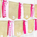 pinkblume 1st Birthday Burlap Photo Banner Garland Handmade Felt from Newborn to 12 Months with Gradient Pink Ribbon for Baby Girl Monthly Milestones First Birthday Party Decorations Supplies by TinyTreasures Baby Boutique