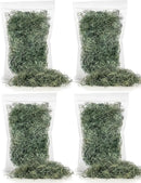 Premium Spanish Moss in Basil| Natural Preserved - Great Ground Cover - Filler for Potted Plants - by GARDENERA - 2 Quart Bag by GreenHaven Gardens