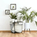 D'vine Dev 14 Inch Planter Pot with Stand, Mid-Century Tall Plant Pot with Legs for Indoor Plants, X-Large, White, 88-O-D-1 by GreenHaven Gardens