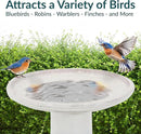 Sunnydaze 21" H Ceramic Bird Bath for Outside - Hand-Painted Outdoor Bird Bath Bowl, UV/Frost-Resistant Finish - Twilight - Classic Pedestal by GreenHaven Gardens