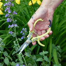 Modern Sprout Pruning Shears - Herb Snipping Scissors- Lightweight Gardening Tools W/Easy Lock - Flower Cutter Garden Shears - Carbon Steel Blade + Reusable Holster (Chartreuse, 1-Pack) by GreenHaven Gardens