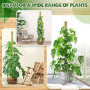 DUSPRO Stackable Mesh Moss Pole for Plants Monstera Potted Plant Stakes for Indoor Plants Extendable Plant Pole Moss Sticks for Plants Climbing Vine Supporting Monstera Trellis 4Pack 71'' by GreenHaven Gardens