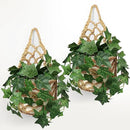 2PK Wall Planters for Indoor Plants, Macrame Plant Hanger | Wall Planter, Plant Hanger, Hanging Planter (2PK, for 6 inch Pot) by CozyNest Decor
