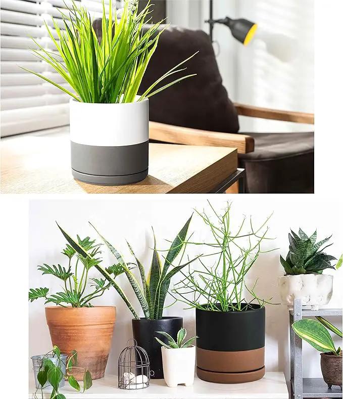 D'vine Dev Set of 2 Plants Pots, 6 Inch Ceramic Planter Pot for Plants with Drainage Hole and Saucer, White-Grey/Black-Tan, 94-V-C-C, photo 5 of 7