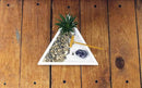 Nature's Mark Mini Zen Garden Kit for Desk with White Sand, Rake, White Base, Salt Rock and Air Plant (Triangle) by GreenHaven Gardens