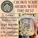 Craft Aroid Potting Mix- Elite Alocasia, Philodendron, Monstera Soil Mix, Chunky, Well Draining Potting Soil for Indoor Plants, All Tropical Plants & Houseplants, Peat Free 12QT by GreenHaven Gardens