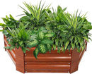 Sunnydaze 11.75" H Raised Metal Garden Bed - Galvanized Raised Garden Bed Outdoor for Vegetables and Flowers - Woodgrain - Hexagon by GreenHaven Gardens