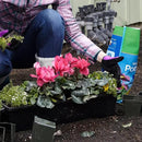 Miracle-Gro Moisture Control Potting Mix 6 qt. by GreenHaven Gardens