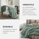 Bedsure GentleSoft Fluffy Sage Green Throw Blanket, Sage Green Decor for Room, Soft Cozy Fuzzy Plush Minky Thick Warm Sherpa Fleece Faux Fur Throw Blanket for Couch, Decorative Spring Gifts, 50x60 by CozyNest Decor