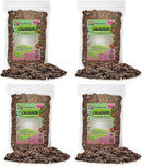 Caladium Potting Mix - Unlock Robust Growth and Striking Leaf Color with Our High-Performance Formula - 20 Quart by GreenHaven Gardens