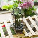 NCYP Small Geometric Terrarium - 4.1" x 3.5" x 5.9" Miniature Irregular Glass Terrarium Planter for Succulent Air Plants - Tabletop Garden Display Container, Black (No Plants, No Door) by CozyNest Decor