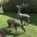 Elegant Pair of Cast Iron Deer Sculptures -22" and 11.4" Tall Male and Female Set for Outdoor Garden Decor, Realistic Animal Statues HC3672-5691 by CozyNest Decor