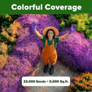 Home Grown Purple Creeping Thyme Seeds – Non-GMO Ground Cover Flowers – 22000+ Edible Herb Seeds for Planting Lawns & Paths – 3g Perennial Thymus serpyllum by GreenHaven Gardens