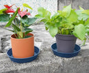 Plant Saucer 6 Inch 4 Pack 6 8 10 12 14 16 18 20 25, Plastic Plant Trays for Pots，Extra-Deep Plant Water Dray Tray, Bird Bath Bowl, Heavy Flower Plant saucers Indoors and Outdoor No Holes 6in-4 blue by GreenHaven Gardens